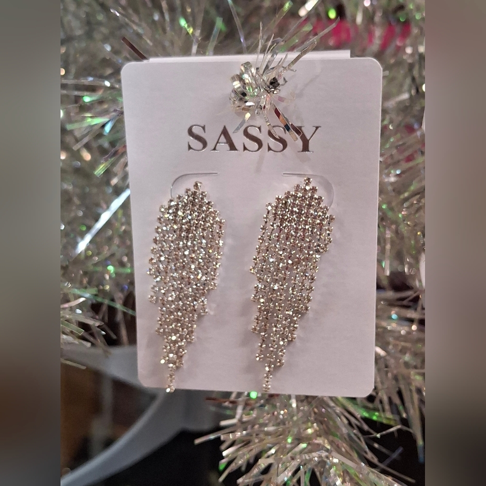 Silver Earrings